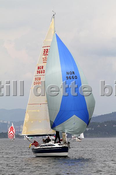 Bundefjorden2012 168.jpg